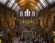 Interior del Museo de Historia Natural